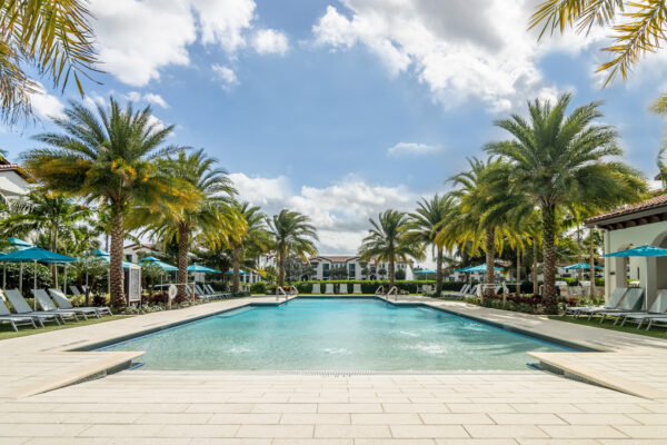 Wellington Vista Cover Image